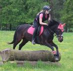 Roze lemieux set, Dieren en Toebehoren, Paarden en Pony's | Dekens en Dekjes, Ophalen, Zo goed als nieuw, Dekje
