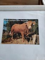 BONS BAISERS D'UN LIMOUSIN. 1992, Ophalen of Verzenden, Overige thema's