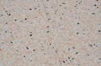 Terrazzo tegels Ecostone Coral Pink EM 12511 roze amsterdam, Doe-het-zelf en Verbouw, 40 tot 60 cm, 40 tot 60 cm, Nieuw, Ophalen of Verzenden