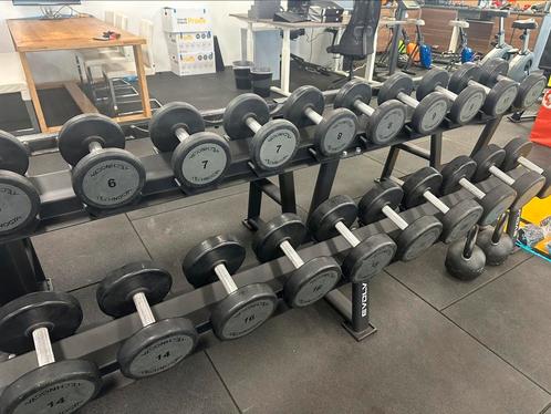 Technogym dumbbels, Sport en Fitness, Fitnessapparatuur, Gebruikt, Overige typen, Armen, Metaal, Ophalen