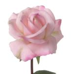 PRACHTIGE ROZE REAL TOUCH ROOS