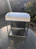 SuperFish Aqua , Ophalen of Verzenden, Gebruikt