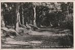 BURGH HAAMSTEDE Westenschouwen In de Duinen 1954, Verzenden, 1940 tot 1960, Gelopen, Zeeland