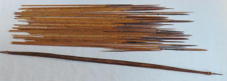 Uit inboedel: Boog met pijlen en speren (37) Papoea -N-Guine, Antiek en Kunst, Kunst | Niet-Westerse kunst, Verzenden