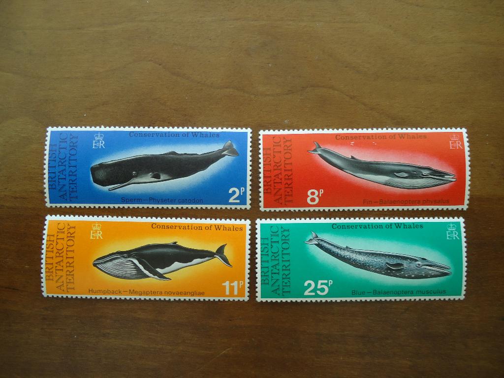 Dier walvissen Brits Antarctica 1977, mi. 64-67 postfris, Ophalen of Verzenden, Postfris, Dier of Natuur