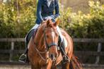 Dressuur instructrice | paardrijles aangeboden, Diensten en Vakmensen, Dieren | Paarden | Verzorging, Oppas en Les, Paardrijles of Ponykampen