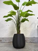 Plantenbakken en Bloempotten 3D-geprint, uniek!, Tuin en Terras, Bloempotten, Kunststof, 40 cm of meer, Binnen, Nieuw