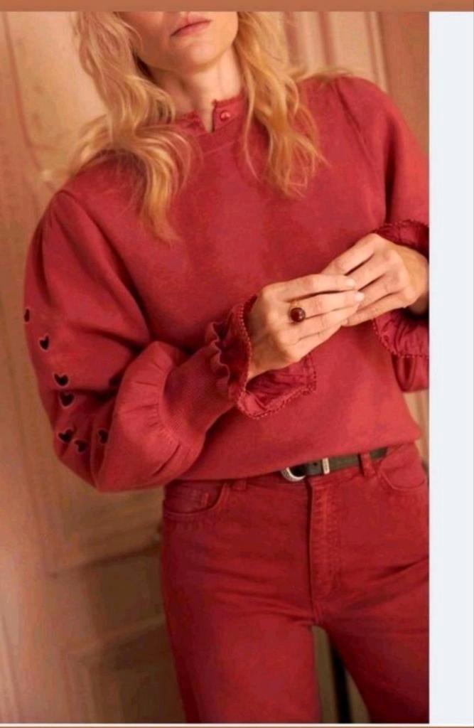 Fabienne Chapot Asja pullover/ trui maat XS *nieuw *, Kleding | Dames, Truien en Vesten, Nieuw, Maat 34 (XS) of kleiner, Ophalen of Verzenden