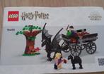 Lego 76400 Harry Potter- Rijtuig en Thestralissen, Ophalen of Verzenden, Zo goed als nieuw