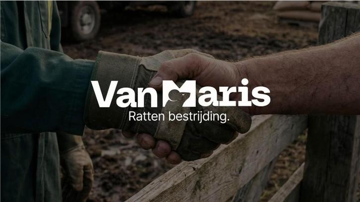 Ratten bestrijding van Maris  in Brabant & Limburg, Diensten en Vakmensen, Ongediertebestrijding, Muizen of Ratten