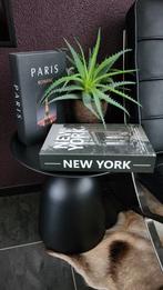 Set van 2 mooie decoratie boeken New York en Paris, Ophalen of Verzenden, Nieuw
