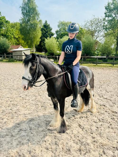 Super brave, lieve tinker merrie, Dieren en Toebehoren, Pony's, Merrie, B, C pony (1.27m tot 1.37m), Recreatiepony, 3 tot 6 jaar