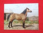 Otto Eerelman.1839-1926.Canadeesche paard no.:35., Antiek en Kunst, Kunst | Schilderijen | Klassiek, Ophalen