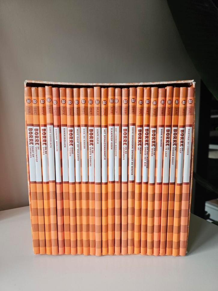 Borre Boeken Box 2 - Complete Serie, Boeken, Kinderboeken | Jeugd | onder 10 jaar, Zo goed als nieuw, Fictie algemeen, Ophalen of Verzenden