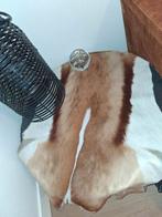 Dierenhuid, Ophalen of Verzenden