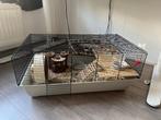 Hamsterkooi incl. accessoires, Kooi, Gebruikt, Hamster, 75 tot 110 cm
