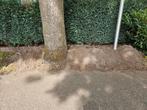 Gratis zwarte grond zand, Tuin en Terras, Aarde en Mest, Ophalen, Tuinaarde