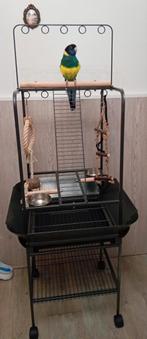 Vogel speelplaats, Verzenden, Nieuw, Vogelkooi