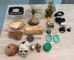 Terrarium Spullen, Dieren en Toebehoren, Reptielen en Amfibieën | Toebehoren, Ophalen, Gebruikt, Terrarium of Paludarium