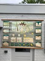 2 x linnen schoolplaten Hagemann!!, Antiek en Kunst, Ophalen of Verzenden, Natuur en Biologie