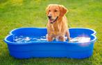 hondenzwembad DogsLand, Dieren en Toebehoren, Honden-accessoires, Zo goed als nieuw, Ophalen