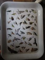 Dienblad met Vogels, Ophalen of Verzenden, Gebruikt, Rechthoekig, Kunststof