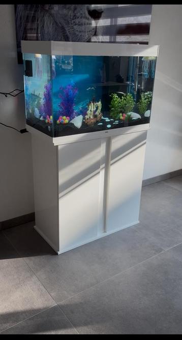 Prachtige Aquarium Merk ciano 3 maanden oud met factuur beschikbaar voor biedingen