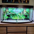 Juwel vision 260 houtkleur, Dieren en Toebehoren, Ophalen, Gebruikt, Leeg aquarium