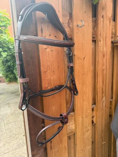 TRUST Hoofdstel Geneva, Dieren en Toebehoren, Paarden en Pony's | Hoofdstellen en Tuigage, Nieuw, Ophalen of Verzenden