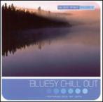 SACRED SPIRIT CD BLUESY CHILL OUT VOLUME 9, Ophalen of Verzenden, 1980 tot 2000, Zo goed als nieuw