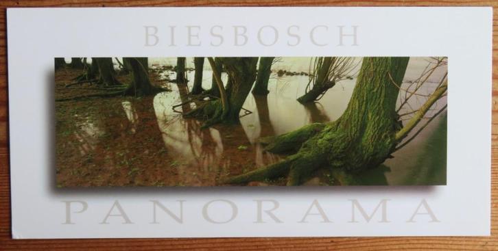 Biesbosch Panorama Bovenste Spieringpolder, Verzamelen, Ansichtkaarten | Nederland, Noord-Brabant, Voor 1920, Ophalen of Verzenden