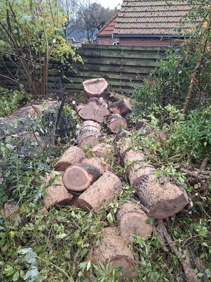 Eiken Boomstammen 50 tot 90 cm te koop, Tuin en Terras, Haardhout, Stammen, Eikenhout, Minder dan 3 m³, Ophalen