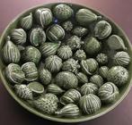 Fruitschaal tropisch fruit, Huis en Inrichting, Woonaccessoires | Vazen, Ophalen, Overige kleuren, Minder dan 50 cm, Glas