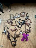 Halsters maat shet 13x, Dieren en Toebehoren, Paarden en Pony's | Hoofdstellen en Tuigage, Ophalen of Verzenden, Zo goed als nieuw
