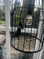 Hanglamp metaal met vogeltjes decoratie, Huis en Inrichting, Lampen | Hanglampen, Ophalen of Verzenden, Gebruikt, Metaal, Minder dan 50 cm