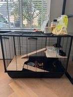 Mooie hamsterkooi, Minder dan 60 cm, Kooi, Ophalen of Verzenden, Zo goed als nieuw