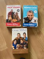 Cesar Millan - A member - Pack Leader - Perfect Dog, Ophalen of Verzenden, Gelezen, Honden