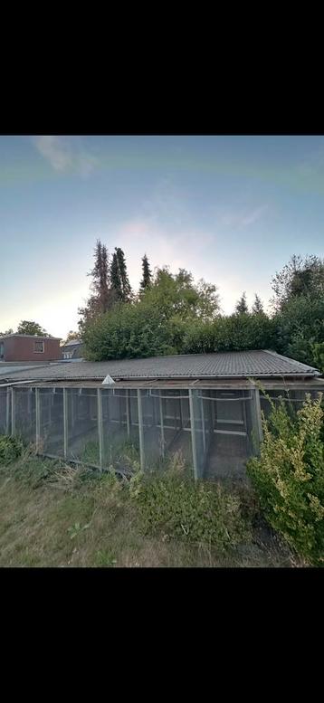 Voilere vogelkooi GRATIS! beschikbaar voor biedingen