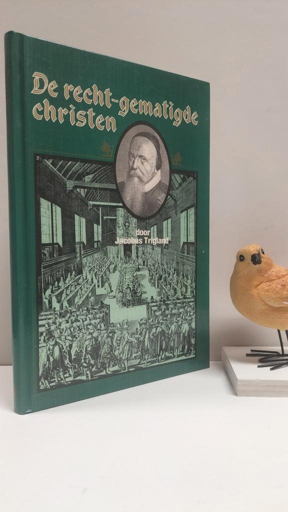 Trigland, Jacobus; De recht-gematigde christen, Boeken, Godsdienst en Theologie, Gelezen, Christendom | Protestants, Ophalen of Verzenden