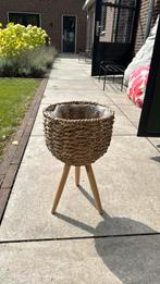 Leuke bloempot, Ophalen, Minder dan 30 cm, Balkon, Minder dan 60 cm