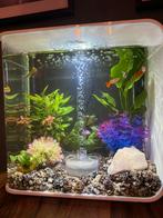Biorb 30L, Ophalen of Verzenden, Zo goed als nieuw, Leeg aquarium