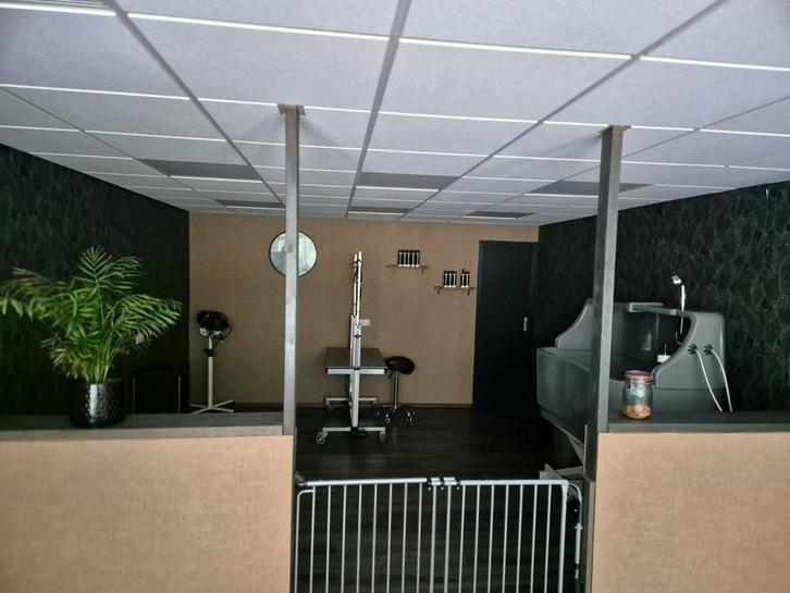 Trimsalon Zuid. Noordwolde (fr), Diensten en Vakmensen, Dieren | Honden | Verzorging, Oppas en Les