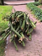 Openhaardhout, Tuin en Terras, Haardhout, Minder dan 3 m³, Ophalen, Overige houtsoorten, Stammen