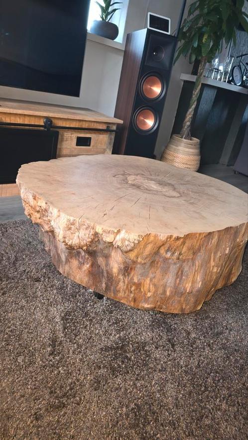 Suar boomstam salontafel - One of a kind!, Huis en Inrichting, Tafels | Salontafels, Zo goed als nieuw, Minder dan 50 cm, 50 tot 100 cm