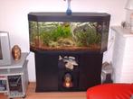 JUWEL PANORAMA AQUARIUM, Dieren en Toebehoren, Vissen | Aquaria en Toebehoren, Ophalen, Zo goed als nieuw, Leeg aquarium