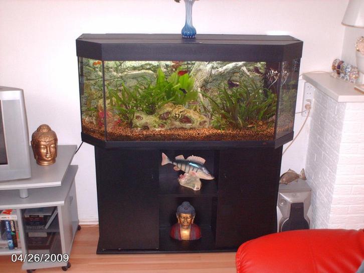 JUWEL PANORAMA AQUARIUM, Dieren en Toebehoren, Vissen | Aquaria en Toebehoren, Zo goed als nieuw, Leeg aquarium, Ophalen