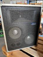 Michalis luidsprekers 2x10inch + hoorn, Ophalen, Zo goed als nieuw, Front, Rear of Stereo speakers, Overige merken