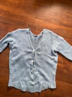 Vest blauw/grijs No mans land L vaak gedragen mohairmix, Kleding | Dames, Truien en Vesten, Ophalen of Verzenden, Zo goed als nieuw