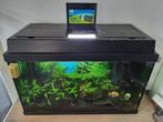 Juwel, 60 liter aquarium inclusief toebehoren, Ophalen, Zo goed als nieuw, Gevuld zoetwateraquarium