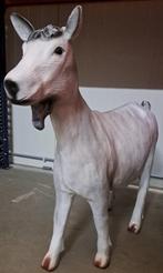 Geit kijkend XL Beeld, Ophalen, Nieuw, Dier